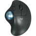 Трекбол Logitech M575S черный оптическая 2000dpi беспров. BT/Radio USB2.0 (910-007035) Трекбол Logitech M575S черный оптическая 2000dpi беспров. BT/Radio USB2.0 (910-007035)