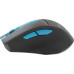 Мышь A4Tech Fstyler FG30S серый/синий оптическая 2000dpi silent беспров. USB 5but (FG30S BLUE) Мышь A4Tech Fstyler FG30S серый/синий оптическая 2000dpi silent беспров. USB 5but (FG30S BLUE)
