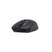 Мышь A4Tech Fstyler FG12 черный оптич. 1200dpi беспров. USB 3but (FG12 BLACK)