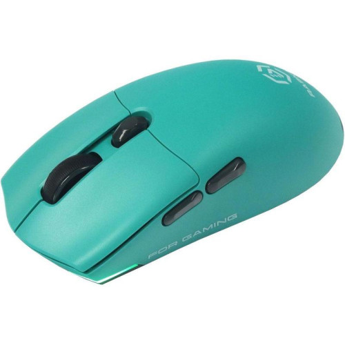 Мышь Raskat MG006TR