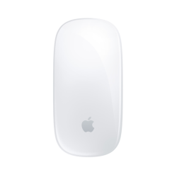 Мышь/ Magic Mouse (USB-C)