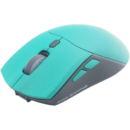 Мышь Raskat MG009WR