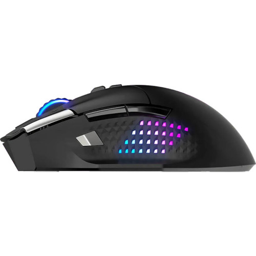 Мыши/ VERSA PRO W