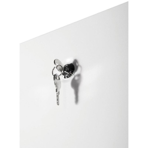 Шкаф серверный ЦМО (ШТК-Э-42.8.10-44АА) напольный 42U 800x1000мм пер.дв.перфор. задн.дв.перфор. 2 бок.пан. направл.под закл.гайки 710кг серый 915мм 114кг 180град. 1987мм IP20 сталь