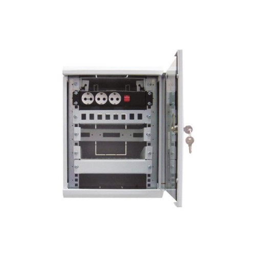 Шкаф коммутационный ЦМО (ШРН-12.255-10) настенный 12U 320x305мм пер.дв.стекл 100кг серый 255мм 10.62кг 180град. 600мм металл