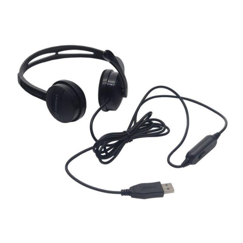 Наушники Raskat Standart 4U (50мм, 32Ом, 105Гц, 20-20000Гц, USB 2м)