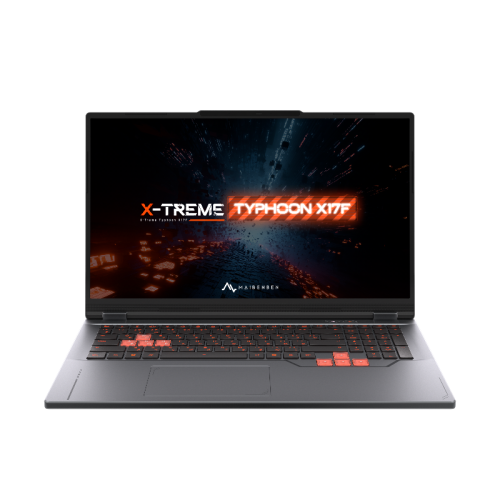 Ноутбук/ Maibenben X17F-R98956 17.3