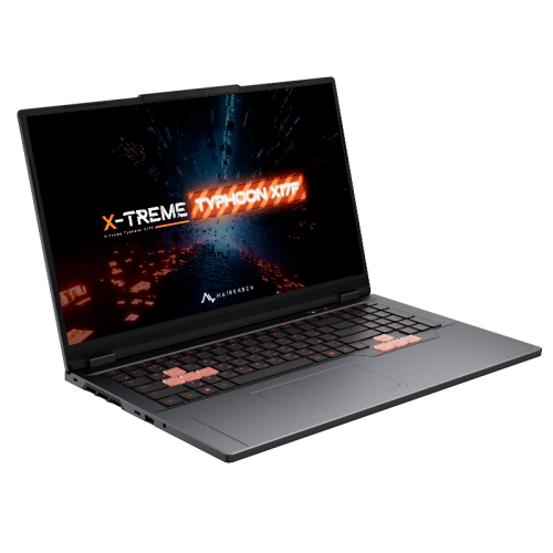 Ноутбук/ Maibenben X17F-R98956 17.3