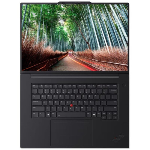 Ноутбук/ Lenovo ThinkPad T1g G8, 16