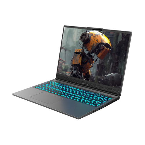Ноутбук/ Maibenben X16A-R77445 16