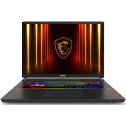 Ноутбук MSI Vector 17 HX AI A2XWIG-063XRU Core Ultra 9 275HX 32Gb SSD1Tb NVIDIA GeForce RTX5080 16Gb 17