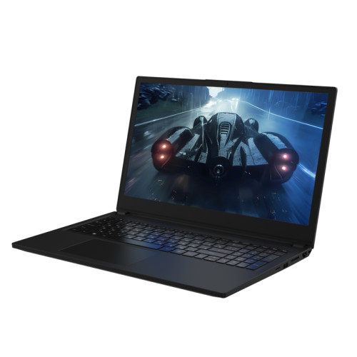 Ноутбук Rikor NINO 201.1/15/5500U/1x8Gb/1x512Gb/Win11Pro