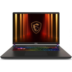 Ноутбук MSI Vector 17 HX AI A2XWHG-065RU Core Ultra 9 275HX 32Gb SSD1Tb NVIDIA GeForce RTX5070Ti 12Gb 17
