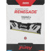 Оперативная память DDR5 24GB 7200MHz Kingston KF572C38RS-24 Fury Renegade Silver/Black RTL Gaming PC5-57600 CL38 DIMM 288-pin 1.45В single rank с радиатором Ret [KF572C38RS-24]