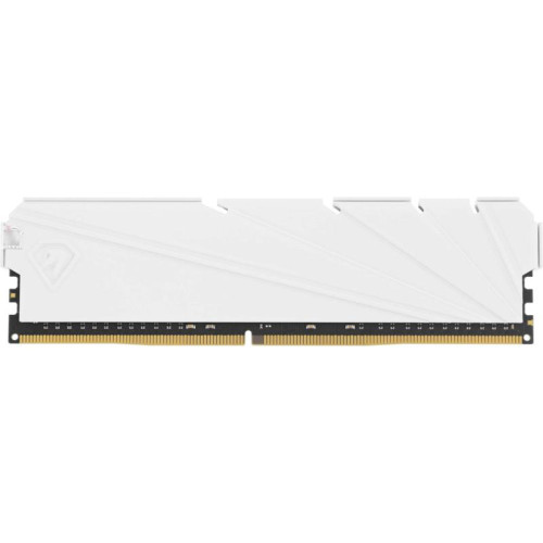 Модуль памяти Netac DIMM 16GB DDR4-3200 NTSSD4P32DP-16W