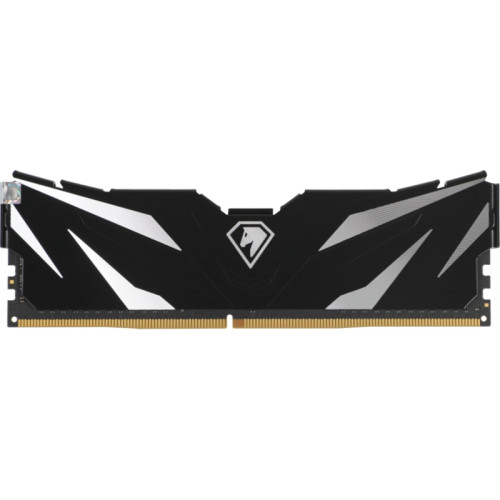 Модуль памяти Netac DIMM 16GB DDR4-3200 K2 NTSWD4P32DP-16K