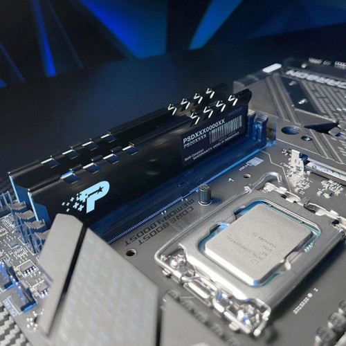 Оперативная память DDR5 8GB 5200MHz Patriot PSP58G520081H1 Signature Premium RTL PC5-41600 CL42 DIMM 288-pin 1.1В single rank с радиатором Ret [PSP58G520081H1]