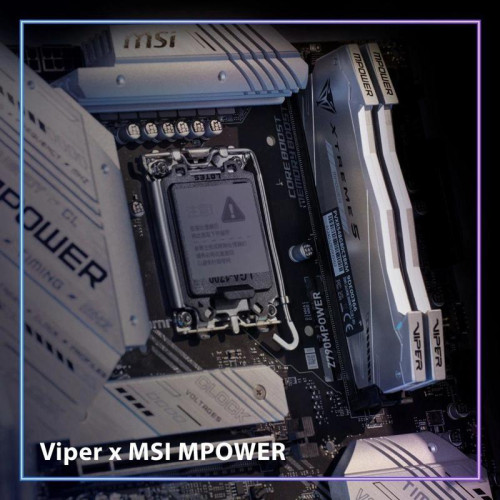 Оперативная память DDR5 2x24GB 8000MHz Patriot PVXR548G80C38KM Viper Xtreme 5 RGB RTL Gaming PC5-64000 CL38 DIMM 288-pin 1.45В с радиатором Ret [PVXR548G80C38KM]