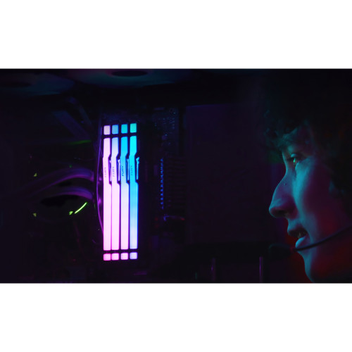 Память оперативная/ Kingston 8GB 5600MT/s DDR5 CL36 DIMM FURY Beast RGB EXPO Память оперативная/ Kingston 8GB 5600MT/s DDR5 CL36 DIMM FURY Beast RGB EXPO