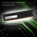Оперативная память DDR4 16Gb 3200MHz Digma DGMAD43200016D RTL PC4-25600 CL22 DIMM 288-pin 1.2В dual rank Ret [DGMAD43200016D]