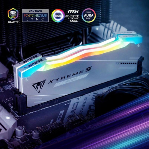 Оперативная память DDR5 2x24GB 6000MHz Patriot PVXR548G60C30KM Viper Xtreme 5 RGB RTL Gaming PC5-48000 CL30 DIMM 288-pin 1.35В с радиатором Ret [PVXR548G60C30KM]