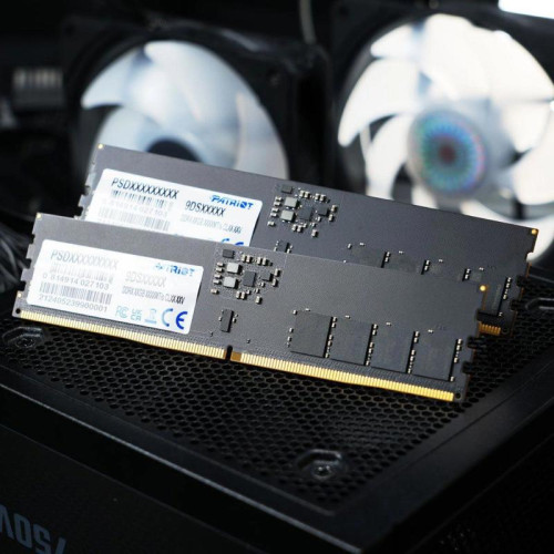 Память DDR5 16GB 6400MHz Patriot PSD516G64081C Signature RTL PC5-51200 CL52 DIMM 288-pin 1.1В single rank Ret