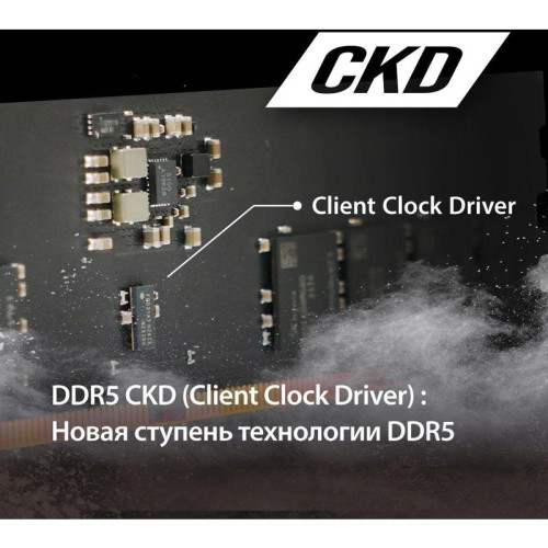 Память DDR5 32GB 6400MHz Patriot PSD532G6402C Signature RTL PC5-51200 CL52 DIMM 288-pin 1.1В dual rank Ret