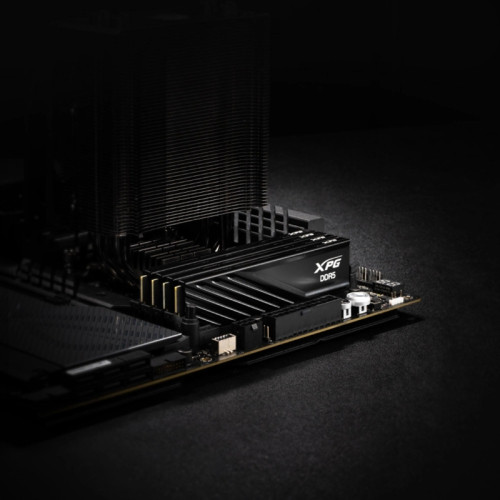 Модуль памяти ADATA DIMM DDR5-6000 32GB (16GBx2) AX5U6000C3616G-DTLABBK
