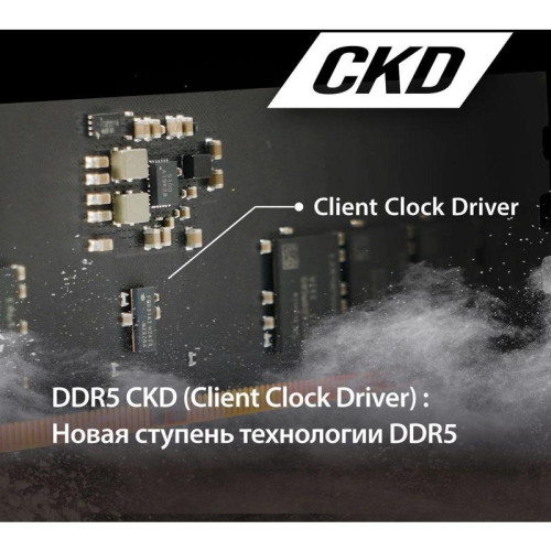 Память DDR5 16GB 6400MHz Patriot PSD516G64081C Signature RTL PC5-51200 CL52 DIMM 288-pin 1.1В single rank Ret