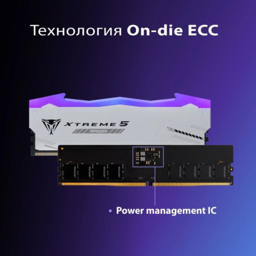 Память DDR5 2x24GB 6400MHz Patriot PVXR548G64C32KM Viper Xtreme 5 RGB RTL Gaming PC5-51200 CL32 DIMM 288-pin 1.4В с радиатором Ret