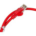 Патч-корд Lanmaster LAN-PC45/U5E-0.5-RD UTP RJ-45 вил.-вилка RJ-45 кат.5E 0.5м красный LSZH (уп.:1шт) Патч-корд Lanmaster LAN-PC45/U5E-0.5-RD UTP RJ-45 вил.-вилка RJ-45 кат.5E 0.5м красный LSZH (уп.:1шт)