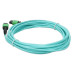 Кабель NVIDIA MFP7E10-N020 Passive Fiber Cable MMF MPO12 APC to MPO12 APC 20m Кабель NVIDIA MFP7E10-N020 Passive Fiber Cable MMF MPO12 APC to MPO12 APC 20m