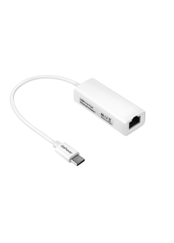 Адаптер GoPower Type-C (m)-RJ-45 (f) 100 мб/с белый (1/100)
