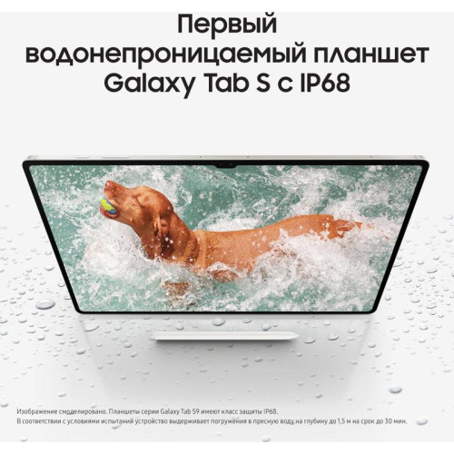 Планшет Samsung Galaxy Tab S9 SM-X716B 8 Gen 2 (3.36) 8C RAM8Gb ROM128Gb 11