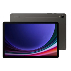 Планшет Планшет Samsung Galaxy Tab S9  Wi-Fi 12GB+256GB Graphite