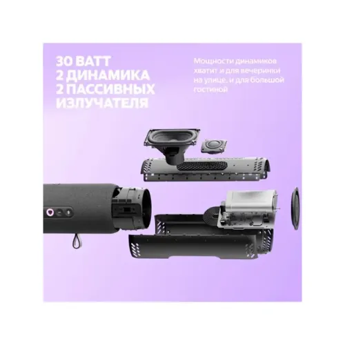 Яндекс Станция Стрит с Алисой, модель YNDX-00030BLK/ Умная портативная колонка Яндекс Станция Стрит с Алисой, модель YNDX-00030BLK (черный)