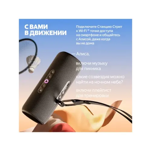 Яндекс Станция Стрит с Алисой, модель YNDX-00030BLK/ Умная портативная колонка Яндекс Станция Стрит с Алисой, модель YNDX-00030BLK (черный)