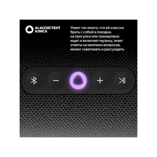 Яндекс Станция Стрит с Алисой, модель YNDX-00030BLK/ Умная портативная колонка Яндекс Станция Стрит с Алисой, модель YNDX-00030BLK (черный)