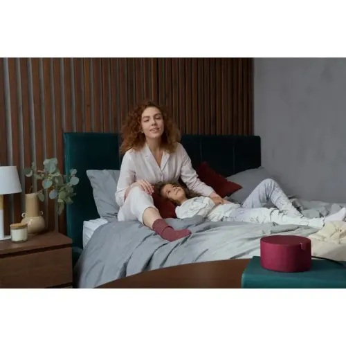 Умная колонка/ Умная колонка Яндекс Станция Мини без часов с Алисой, красный гранат, 10Вт