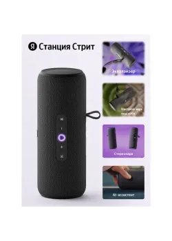 Яндекс Станция Стрит с Алисой, модель YNDX-00030BLK/ Умная портативная колонка Яндекс Станция Стрит с Алисой, модель YNDX-00030BLK (черный)