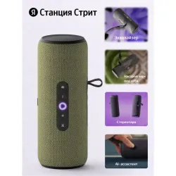 Яндекс Станция Стрит с Алисой, модель YNDX-00030GRN/ Умная портативная колонка Яндекс Станция Стрит с Алисой, модель YNDX-00030GRN (зеленый)