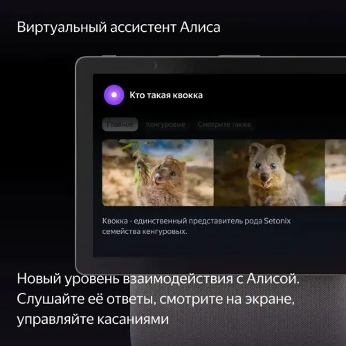 Умная колонка/ Умная колонка Яндекс Станция Дуо Макс, модель YNDX-00055 (бежевый)