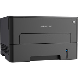 Pantum P3020D