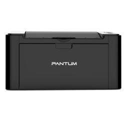 Pantum P2207