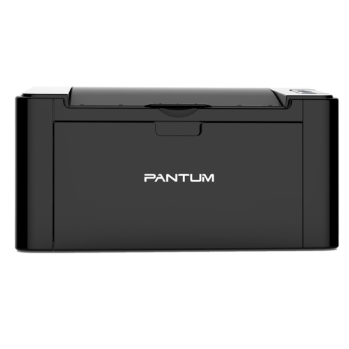 Pantum P2207