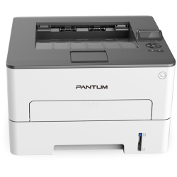 Pantum P3010DW