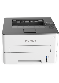 Pantum P3010DW