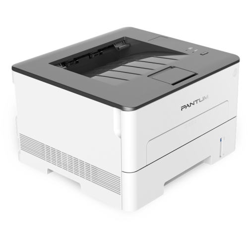 Pantum P3010D