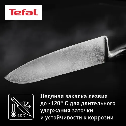 Нож Tefal/ 2100134488