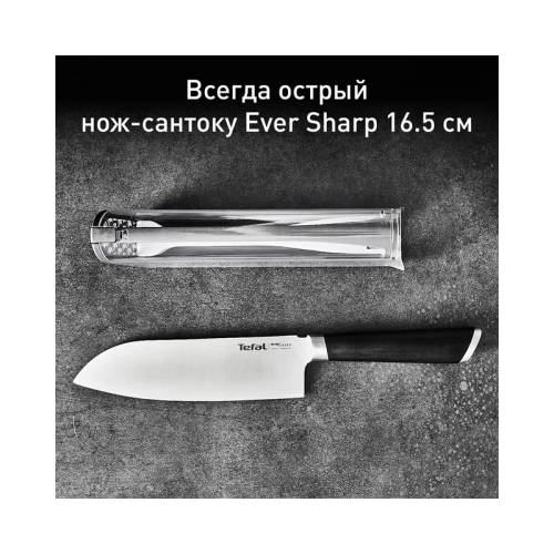 Нож-Сантоку Tefal/ 2100125419